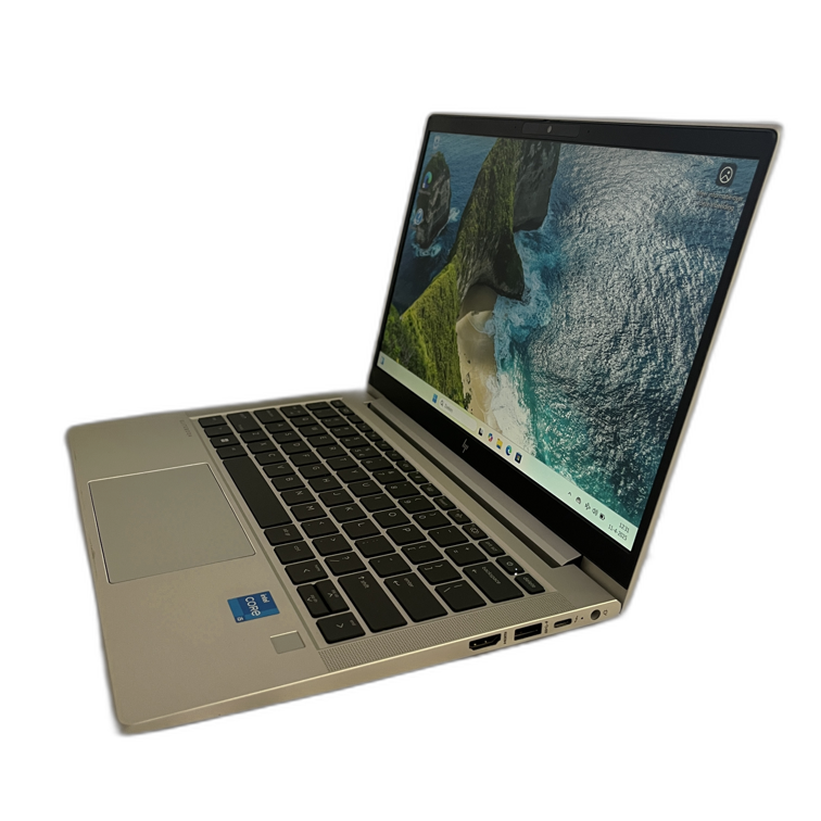 HP EliteBook 630 G10 Laptop